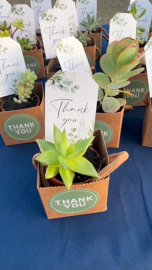 13 Cute and Fun Wedding Ideas for Guests Your Guests Will Love 4 Small green succulents in brown kraft paper gift bags with thank you tags on a blue table.