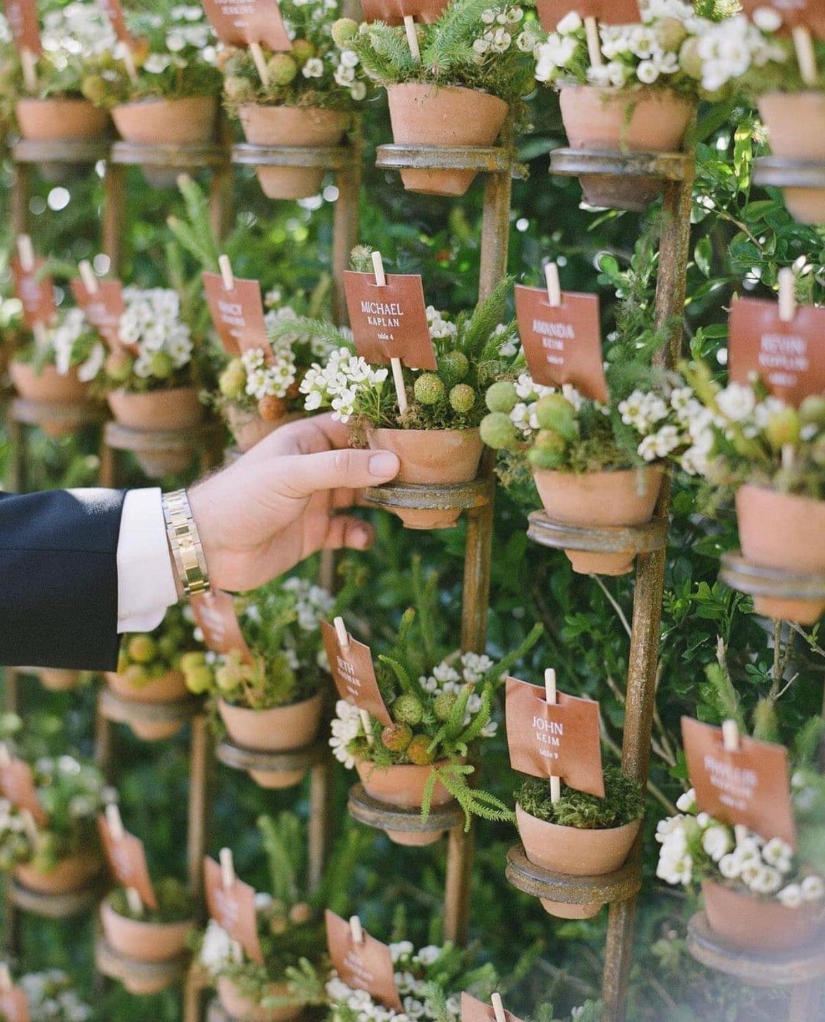 A hand reaches for a small potted herb with a name card on a vertical stand.