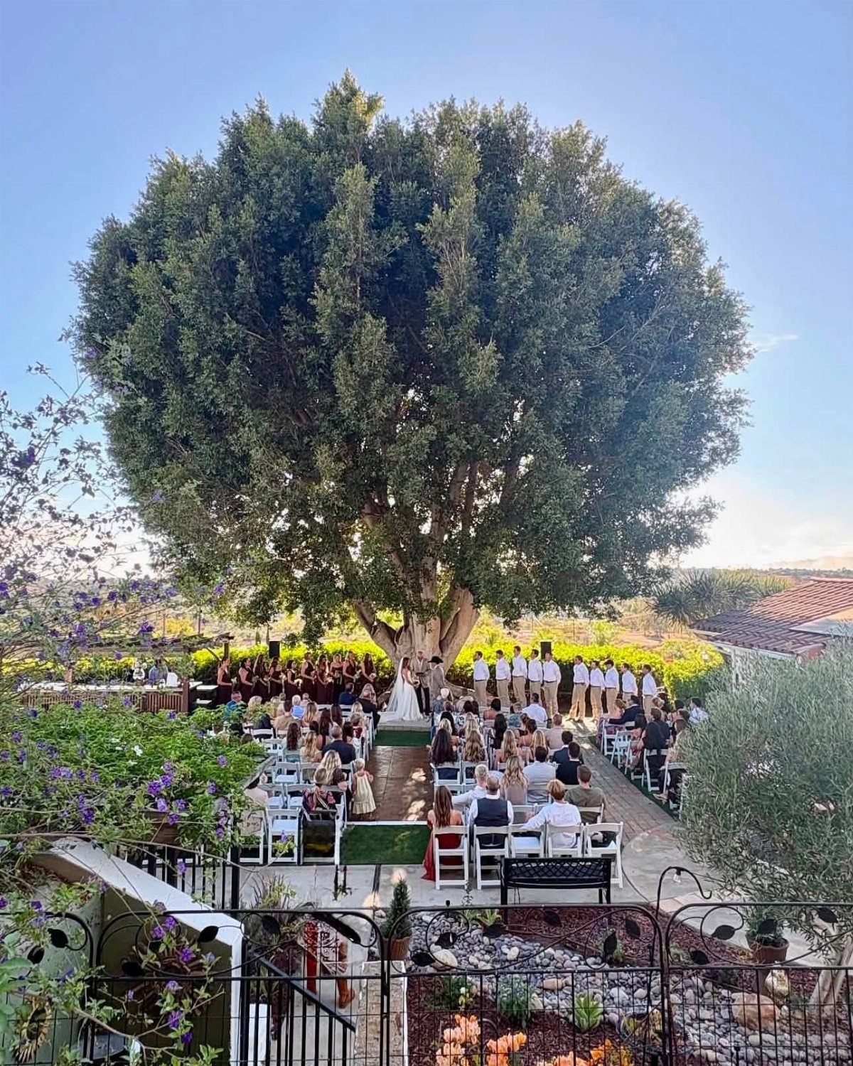 Garden Estate Wedding: 12 Ideas for Ceremony and Reception 5 Wedding guests seated in white chairs under a large tree during an outdoor garden ceremony.