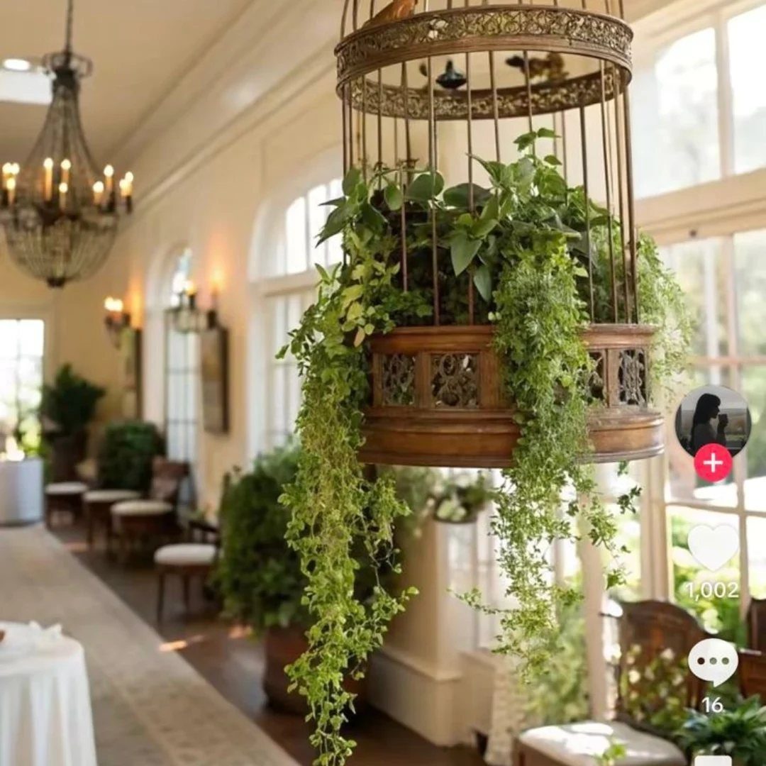 A hanging vintage birdcage overflowing with lush, green trailing plants in an elegant room.