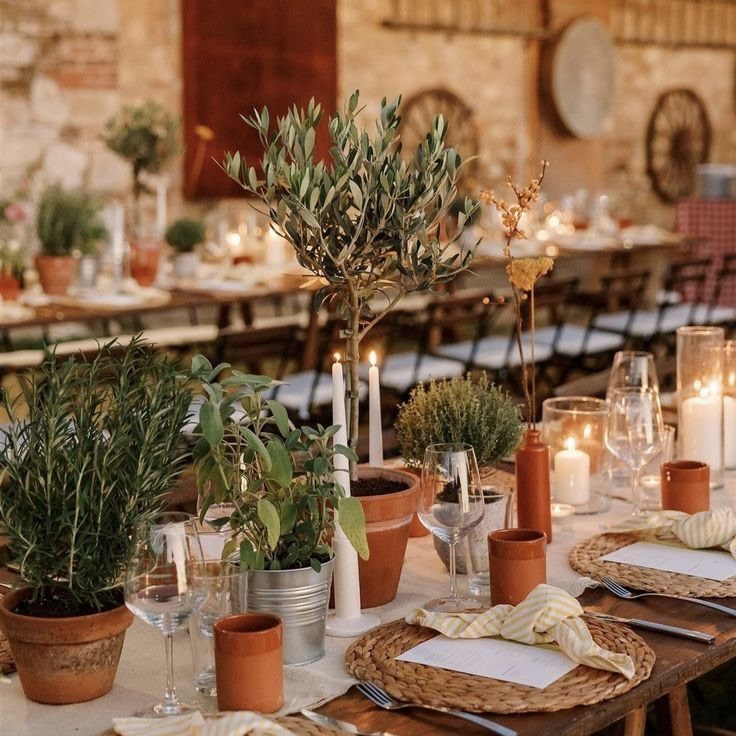 Potted herbs and small olive trees serve as centerpieces on a rustic wedding table with candles.