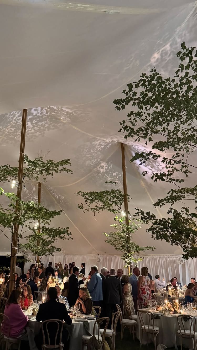 13 Wedding Decor Tent Ideas for 2026 Receptions 10 Guests dining at tables inside a large white wedding tent decorated with tall indoor trees.