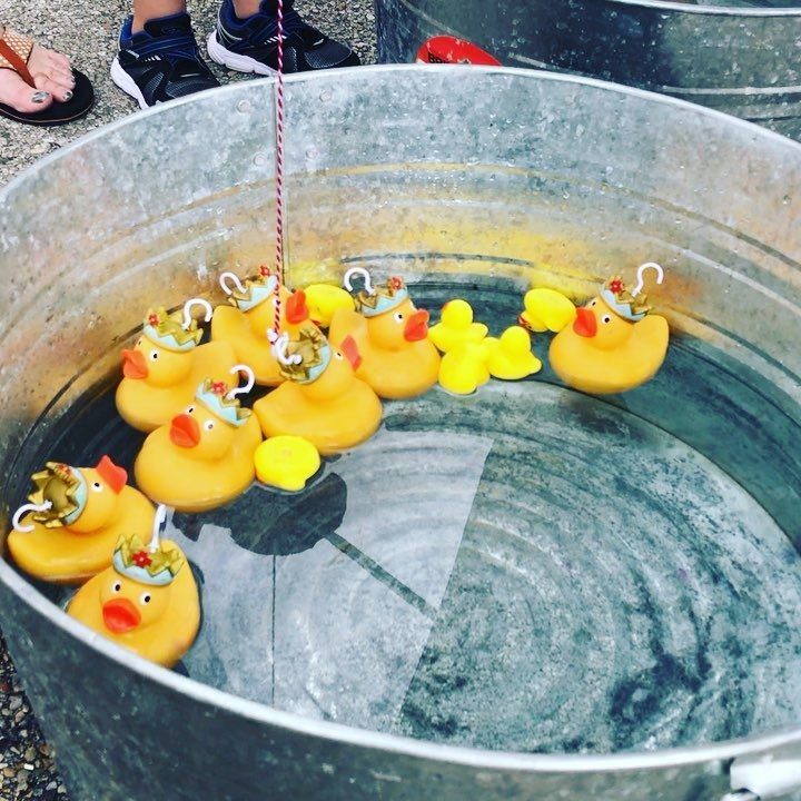 Yellow rubber ducks with gold crowns floating in a large metal tub of water.