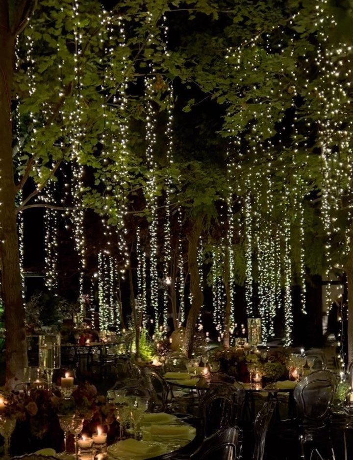 Vertical strands of fairy lights hanging from trees over a decorated outdoor wedding reception dinner.