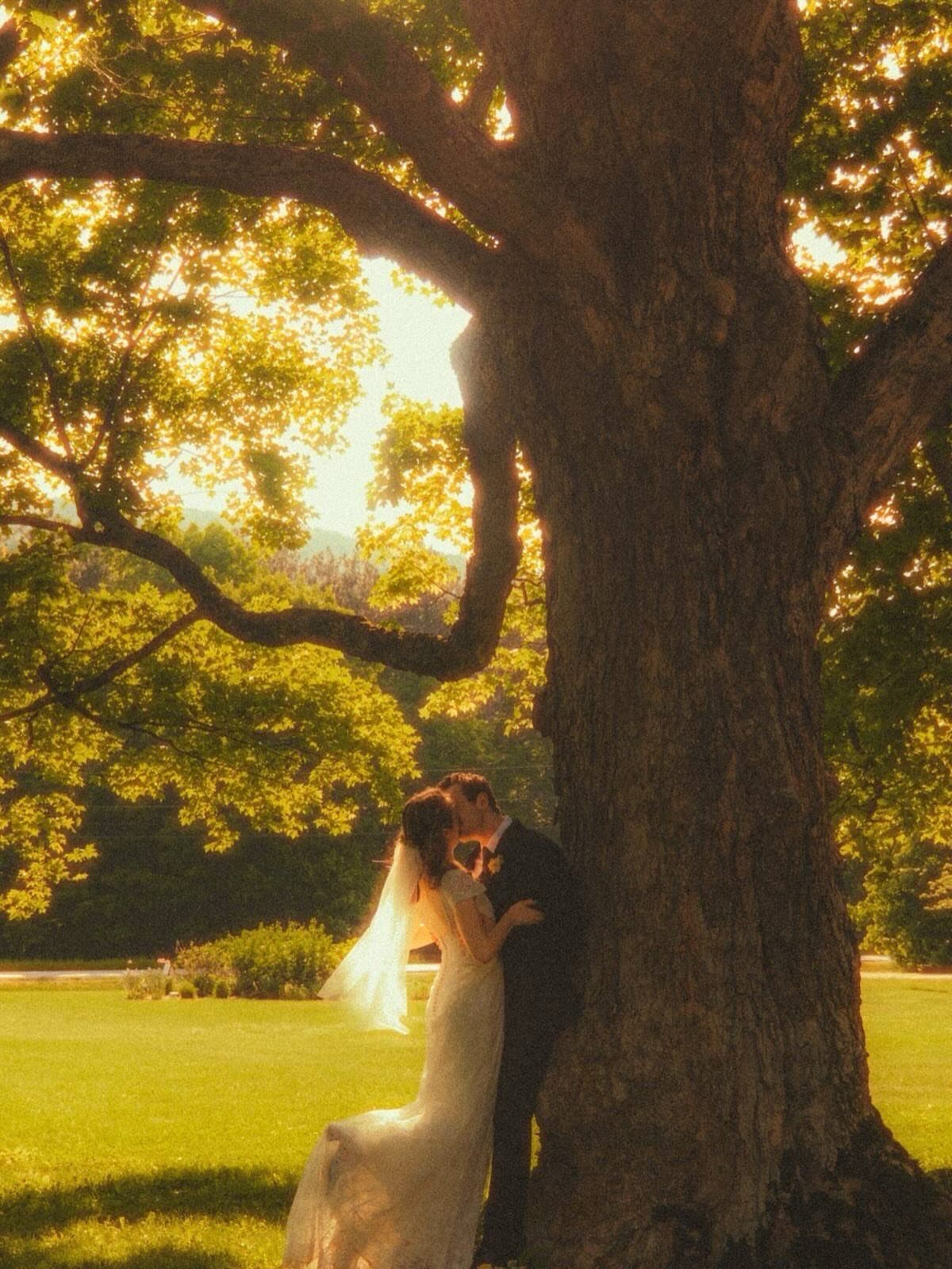 13 Wedding Photo Ideas for Your Shot List 12 A bride and groom kissing while leaning against a large, sunlit tree in a grassy field.
